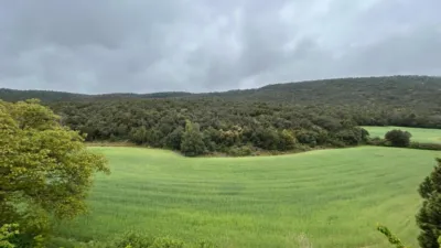 Rustic Farm in El Toro photo 38
