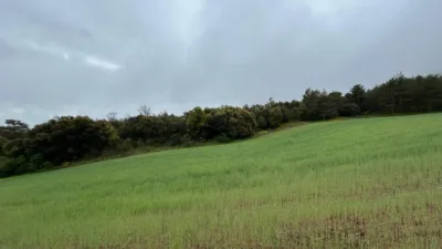 Rustic Farm in El Toro photo 3