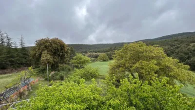 Rustic Farm in El Toro photo 42