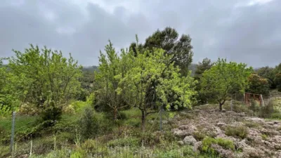 Rustic Farm in El Toro photo 64