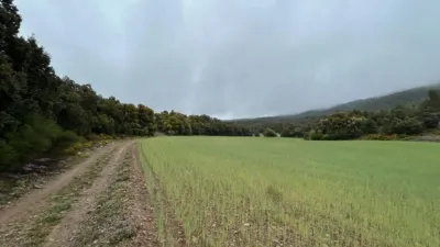 Rustic Farm in El Toro photo 9