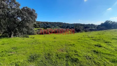 Rustic farm in Millanes photo 3