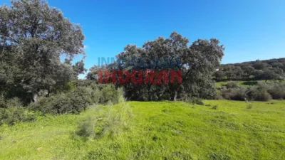 Rustic farm in Millanes photo 4
