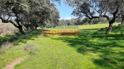 Rustic farm in Millanes photo 5