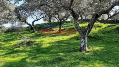 Rustic farm in Millanes photo 6