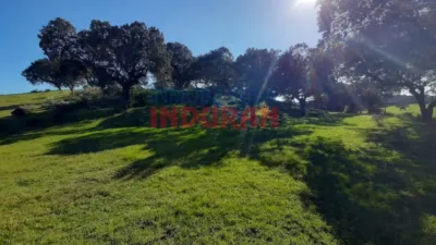 Rustic farm in Millanes photo 7
