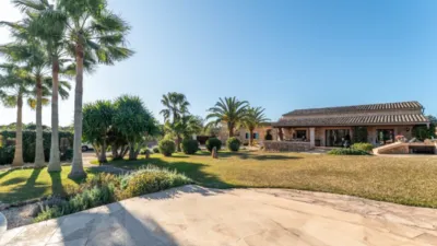 Rustic house in Felanitx photo 36