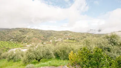Rustic Finca in Tolox photo 25