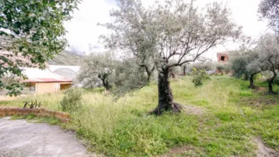 Rustic Finca in Tolox photo 31