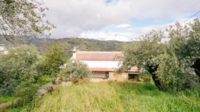 Rustic Finca in Tolox photo 32