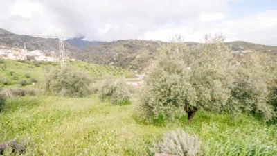 Rustic Finca in Tolox photo 33