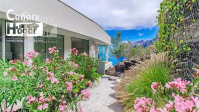 Penthouse in Acantilado de los Gigantes photo 56