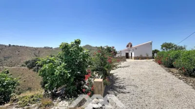 Chalet in Canillas de Aceituno photo 46