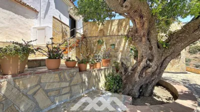 Chalet in Canillas de Aceituno photo 48