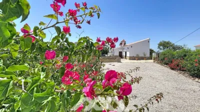 Chalet in Canillas de Aceituno photo 58