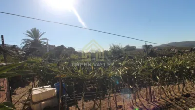 Rustic Finca in Alcaide photo 10