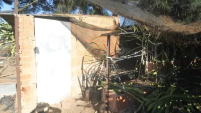 Rustic Finca in Alcaide photo 12