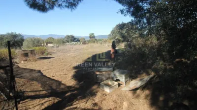 Rustic Finca in Alcaide photo 13