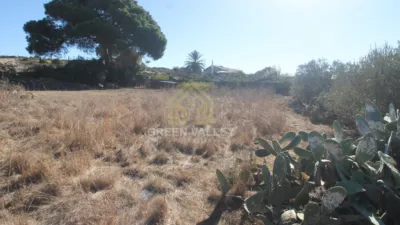 Rustic Finca in Alcaide photo 15