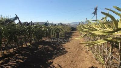 Rustic Finca in Alcaide photo 16