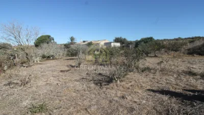 Rustic Finca in Alcaide photo 21