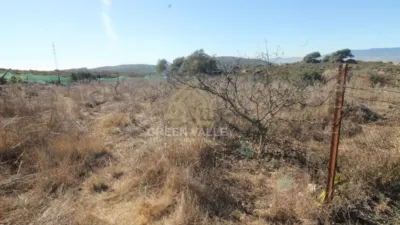 Rustic Finca in Alcaide photo 23