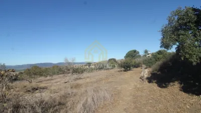 Rustic Finca in Alcaide photo 25