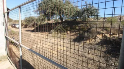 Rustic Finca in Alcaide photo 29