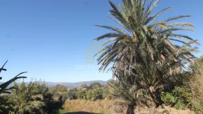 Rustic Finca in Alcaide photo 31