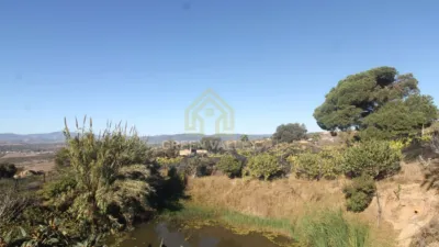 Rustic Finca in Alcaide photo 37