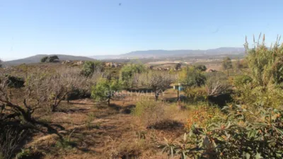 Rustic Finca in Alcaide photo 38
