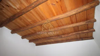 Rustic Finca in Alcaide photo 47