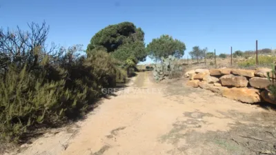 Rustic Finca in Alcaide photo 54