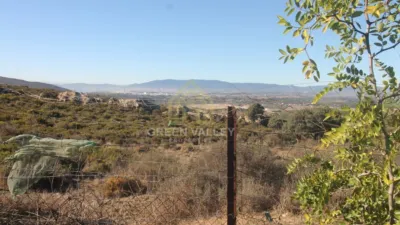Rustic Finca in Alcaide photo 6