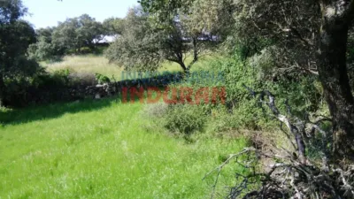 Rustic farm in Belvís de Monroy photo 3