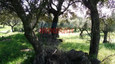 Rustic farm in Belvís de Monroy photo 5