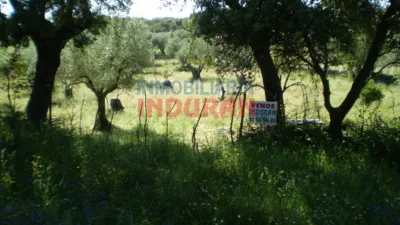 Rustic farm in Belvís de Monroy photo 6