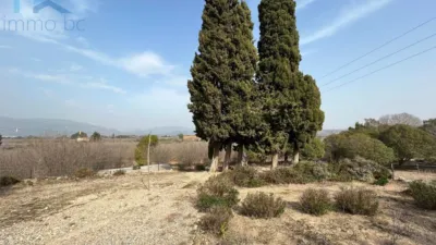 Rustic Finca in El Milà photo 153