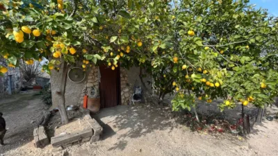 Rustic Finca in El Milà photo 162