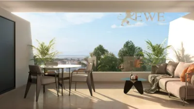 Pis – Elx - Elche - Vista 4
