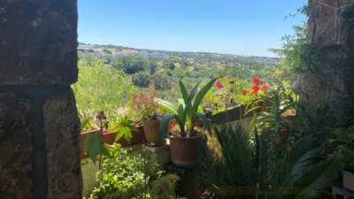 Rustic Finca in Camping Valdemorillo photo 25