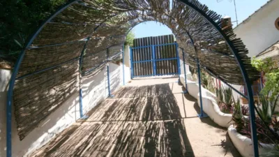 Rustic Finca in Centro photo 13