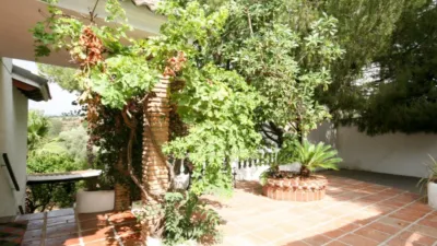 Rustic Finca in Centro photo 26