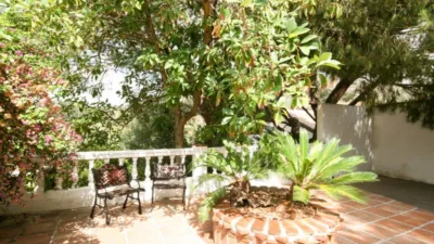 Rustic Finca in Centro photo 27