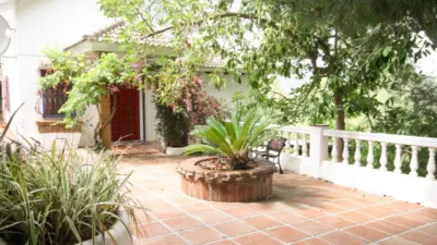 Rustic Finca in Centro photo 29