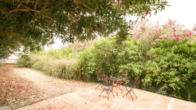 Rustic Finca in Centro photo 33
