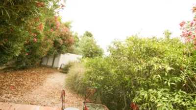 Rustic Finca in Centro photo 41