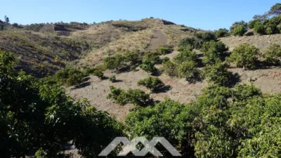 Rustic Finca in Viñuela photo 10