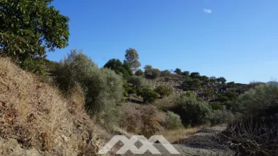 Rustic Finca in Viñuela photo 11