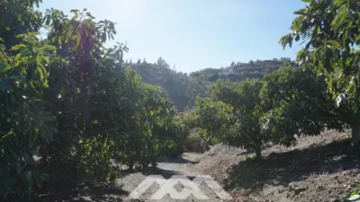 Rustic Finca in Viñuela photo 12